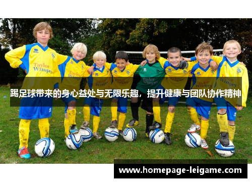 踢足球带来的身心益处与无限乐趣，提升健康与团队协作精神