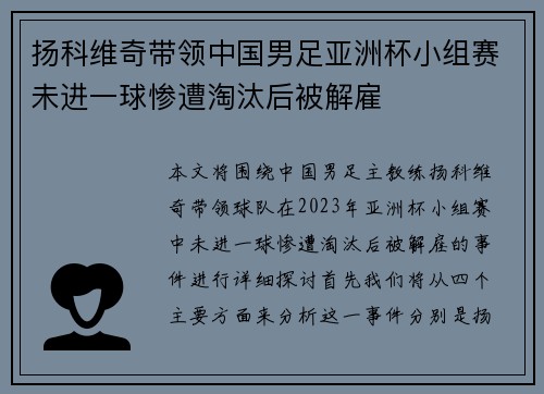 扬科维奇带领中国男足亚洲杯小组赛未进一球惨遭淘汰后被解雇