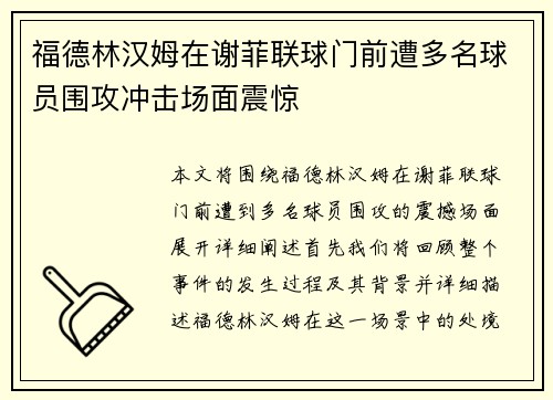 福德林汉姆在谢菲联球门前遭多名球员围攻冲击场面震惊